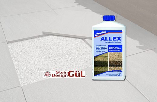Lithofin ALLEX Grnbelag-Entferner